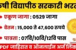 पंजाबराव देशमुख कृषी विद्यापीठात ५२९ पदांची भरती सुरू; ऑनलाईन अर्ज येथे करा